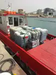 Crew-Boot zu verkaufen