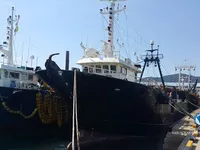 Trawler zu verkaufen