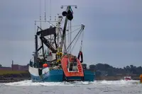 Purse-Seiner zu verkaufen