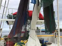 Trawler zu verkaufen