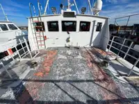 Crew-Boot zu verkaufen