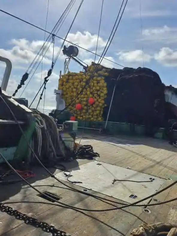 Purse-Seiner zu verkaufen