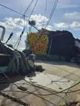 Purse-Seiner zu verkaufen