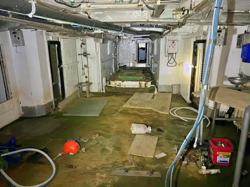 Trawler zu verkaufen
