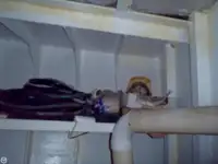 Schleppboot zu verkaufen