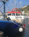 Trawler zu verkaufen
