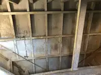 Containerschiff zu verkaufen