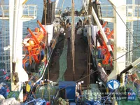 Trawler zu verkaufen