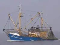 Trawler zu verkaufen