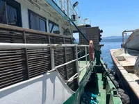 Purse-Seiner zu verkaufen