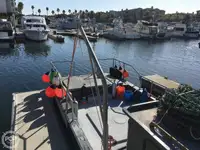 Trawler zu verkaufen
