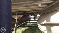Containerschiff zu verkaufen