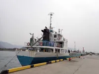General Cargo/Multi-purpose zu verkaufen
