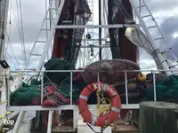 Trawler zu verkaufen