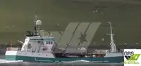 Trawler zu verkaufen