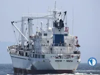 Kühlschiff zu verkaufen