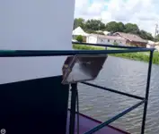 Schleppboot zu verkaufen