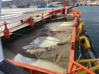 Containerschiff zu verkaufen