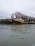 Schleppboot zu verkaufen