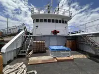 Trawler zu verkaufen