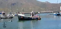 Trawler zu verkaufen