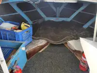 Trawler zu verkaufen
