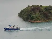 Katamaran zu verkaufen