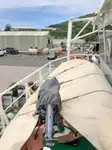Schleppboot zu verkaufen