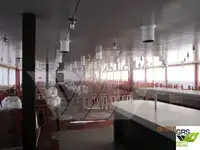 Kreuzfahrtschiff zu verkaufen