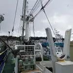 Purse-Seiner zu verkaufen