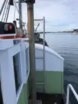 Bagger zu verkaufen