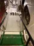 Schleppboot zu verkaufen