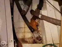 Fährschiff zu verkaufen