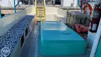 Kreuzfahrtschiff zu verkaufen