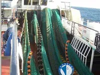 Trawler zu verkaufen
