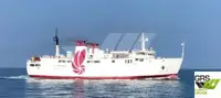 Ro-Ro ship zu verkaufen