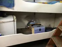 Bagger zu verkaufen