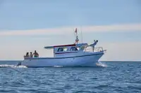Fährschiff zu verkaufen