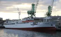 Trawler zu verkaufen
