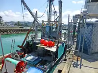 Trawler zu verkaufen
