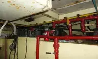 Lotsenboot zu verkaufen