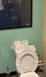 Kreuzfahrtfähre zu verkaufen