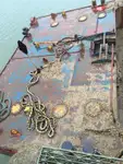 Barges zu verkaufen