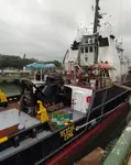Schleppboot zu verkaufen