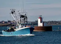 Purse seiner zu verkaufen
