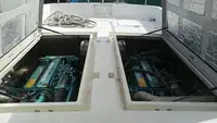 Crew-Boot zu verkaufen