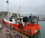 Trawler zu verkaufen