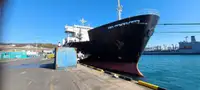 Ro-Ro ship zu verkaufen