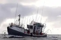 Trawler zu verkaufen