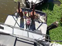 Schleppboot zu verkaufen